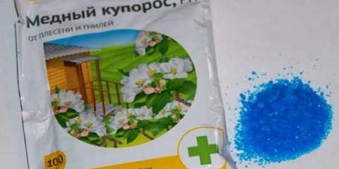 Bakar sulfat za ruže: jesen, proljeće, ljeto, primjena, doziranje